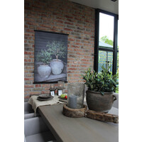 Sobere tuinposter Potten met olijf 80 x 60 cm
