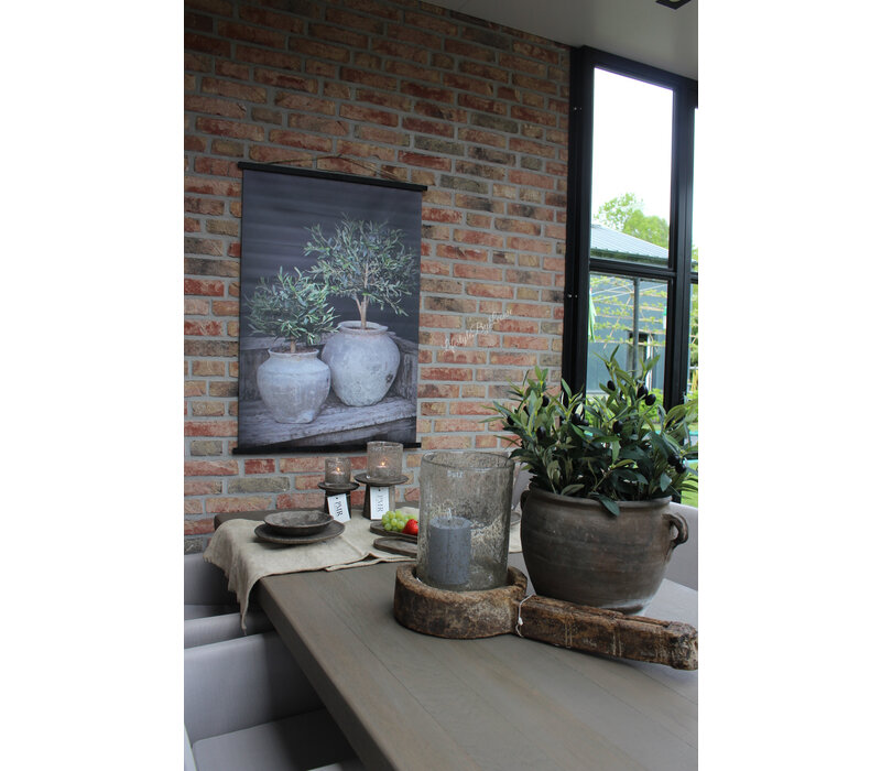 Sobere tuinposter Potten met olijf 80 x 60 cm