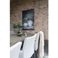 Sobere tuinposter Potten met olijf 80 x 60 cm