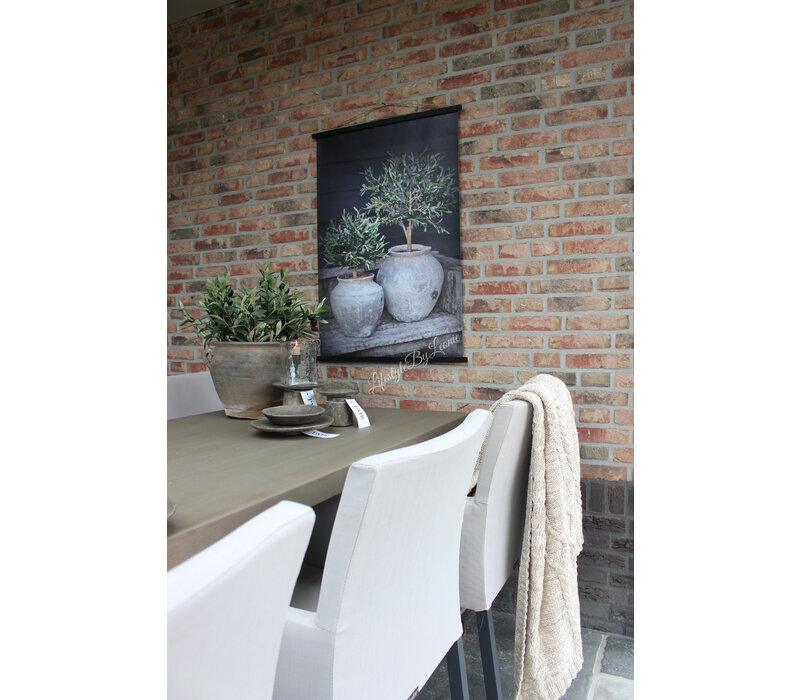 Sobere tuinposter Potten met olijf 80 x 60 cm