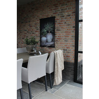Sobere tuinposter Potten met olijf 80 x 60 cm
