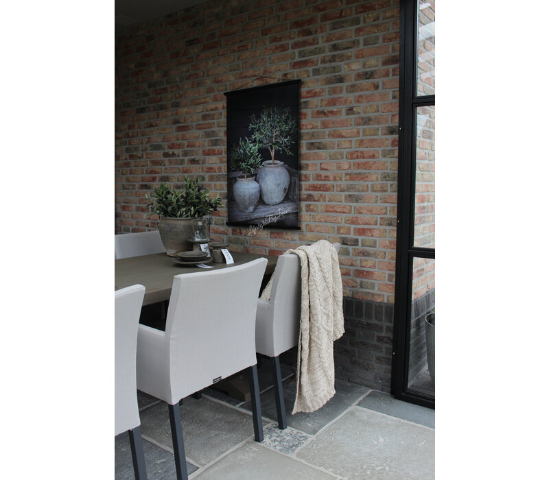 Sobere tuinposter Potten met olijf 80 x 60 cm