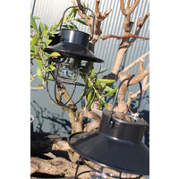 LED solar hanglamp Daryl zwart 24 cm