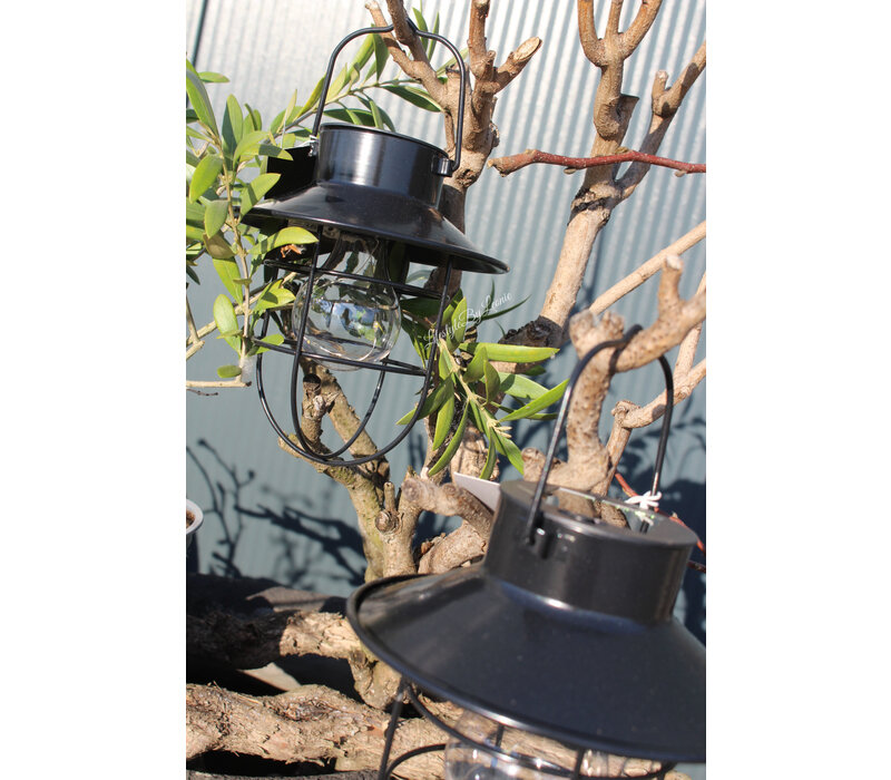 LED solar hanglamp Daryl zwart 24 cm