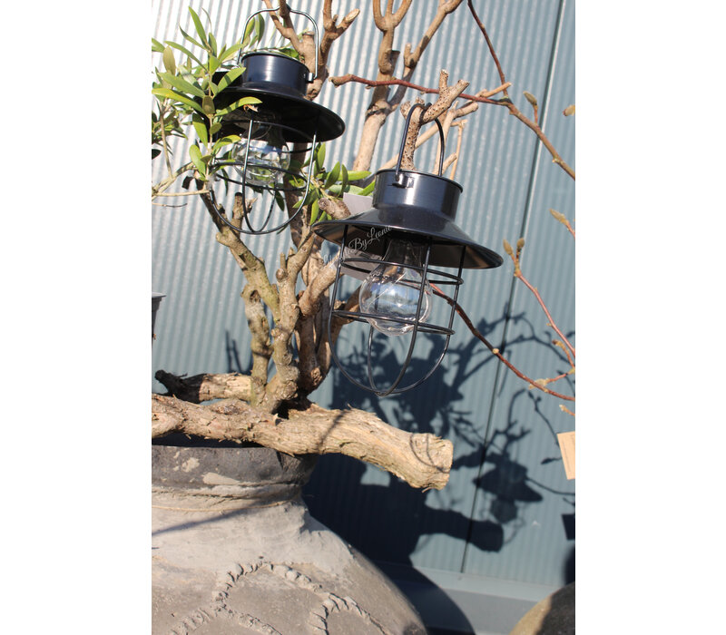 LED solar hanglamp Daryl zwart 24 cm