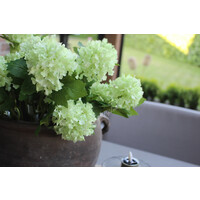 Namaak tak Viburnum green 45 cm
