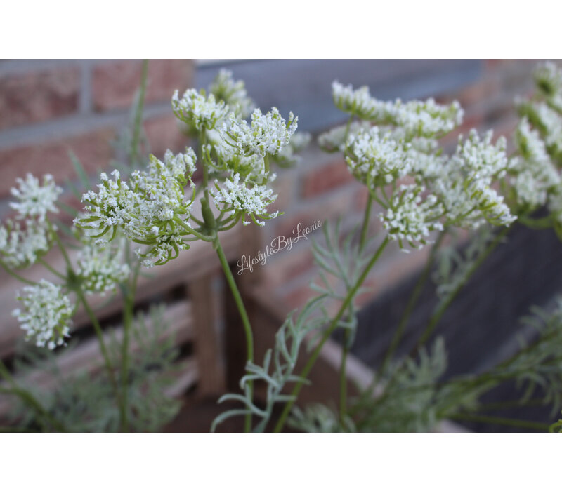Namaak tak Dille/Fluitekruid white 80 cm