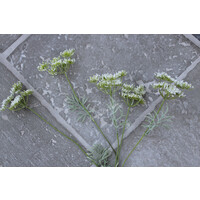 Namaak tak Dille/Fluitekruid white 80 cm