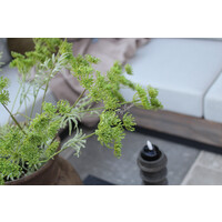 Namaak tak Dille/Fluitekruid green 80 cm