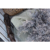 Namaak plant Tillandsia bruin 30 cm
