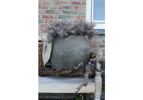 Namaak plant Tillandsia bruin 30 cm