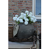 Zijden Hortensia Annabelle tak white 60 cm
