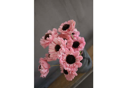 Namaak bosje Gerbera germini pink - 10 stuks