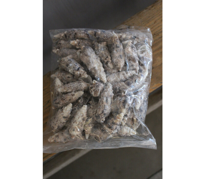 Zak schelpen Cerethium 500 gram