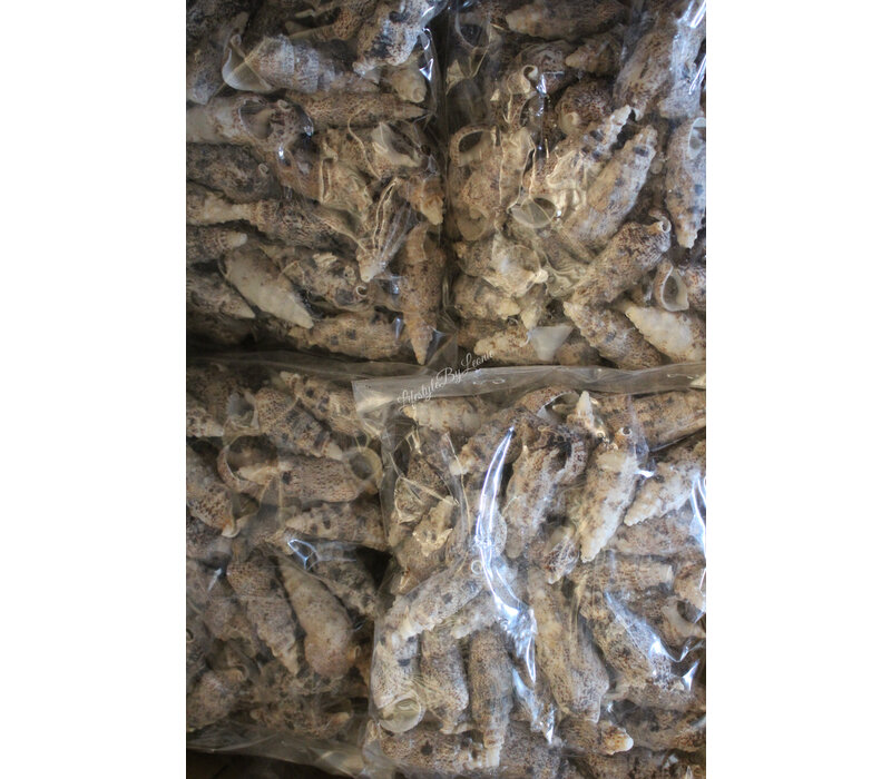 Zak schelpen Cerethium 500 gram