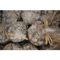 Zak schelpen Star limpit 500Gr