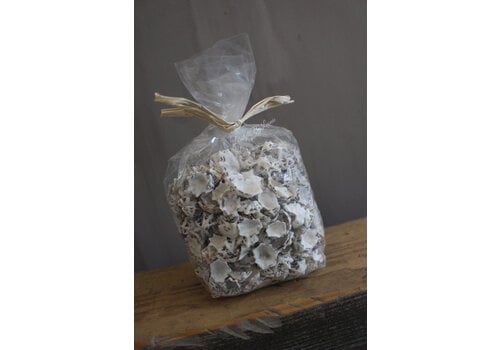 Zak schelpen Star limpit 500 gram