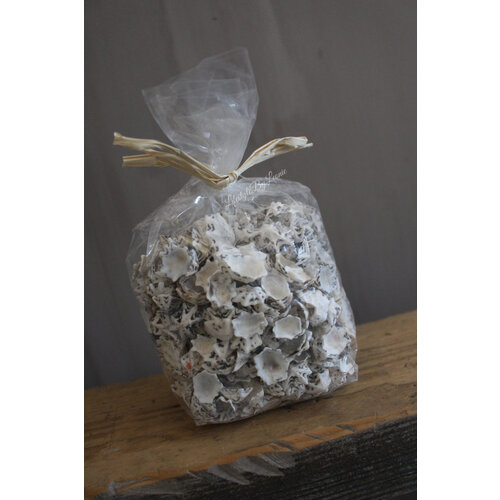 Zak schelpen Star limpit 500 gram 
