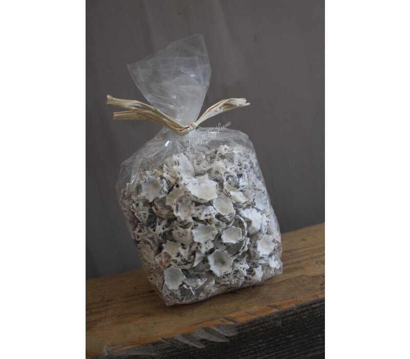 Zak schelpen Star limpit 500 gram
