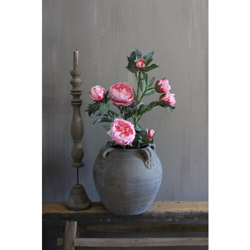 Namaak pioenrozen in pot Pink 68 cm 