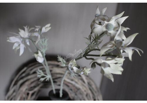 Zijden Flannel flower tak white 81 cm