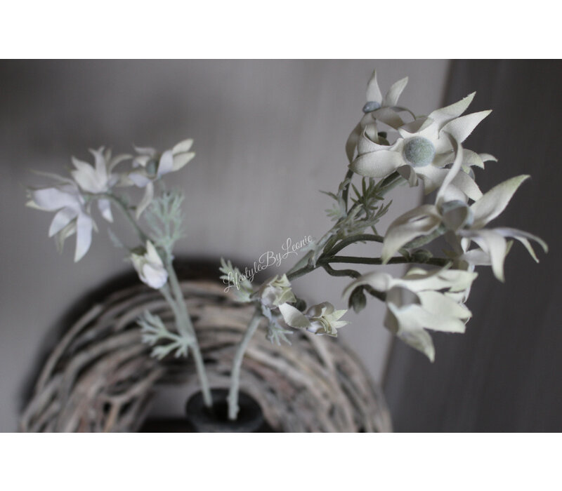Zijden flannel flower tak White 81cm