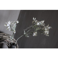 Zijden flannel flower tak White 81cm