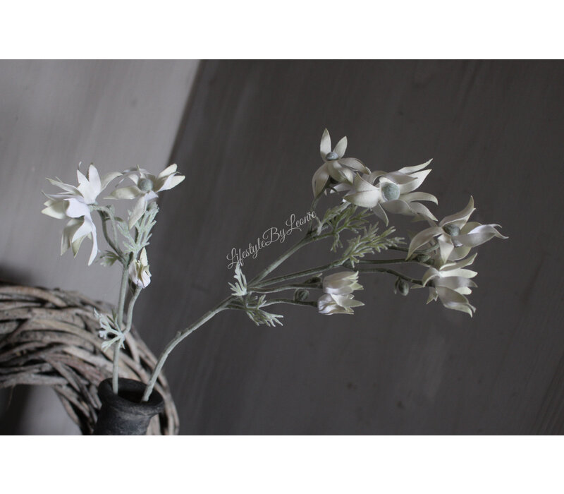 Zijden flannel flower tak White 81cm
