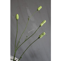 Namaak Pimpernel tak 86cm
