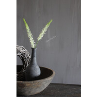 Zijden tak Foxtail / Naald van Cleopatra 75 cm