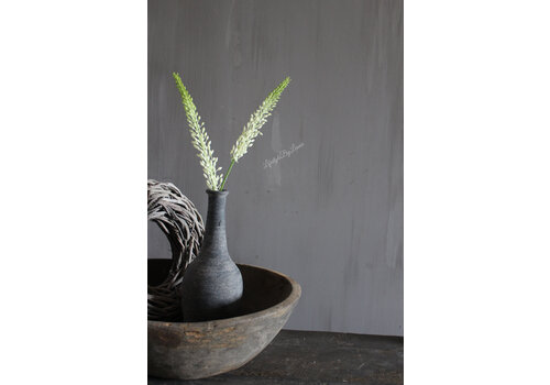 Zijden tak Foxtail / Naald van Cleopatra 75 cm