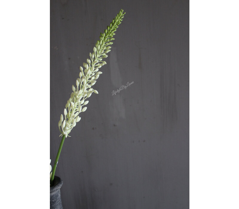 Zijden tak Foxtail / Naald van Cleopatra 75 cm