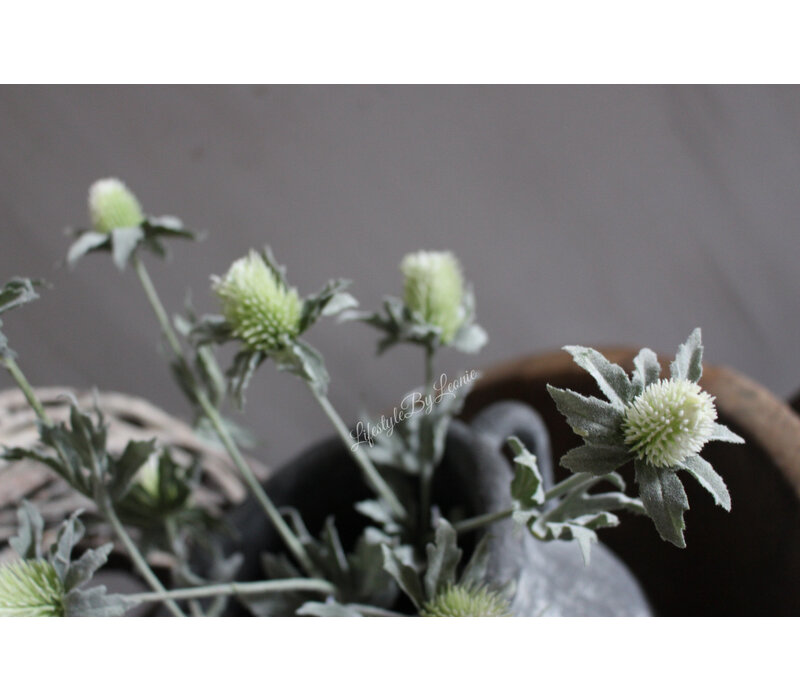 Zijden Distel white / green 40cm