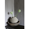 Namaak bloeiende Allium grande white 76cm