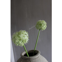 Namaak bloeiende Allium grande white 76cm