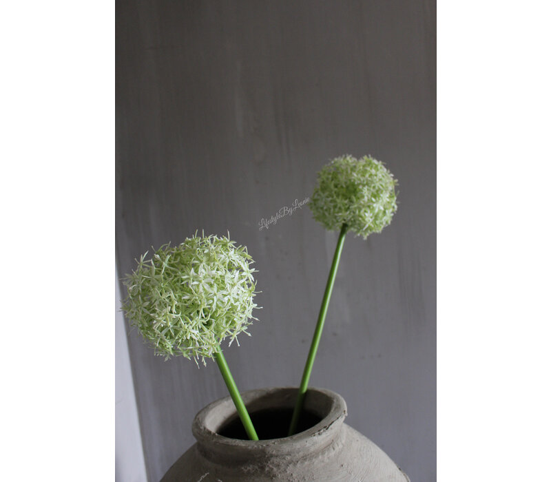 Namaak bloeiende Allium grande white 76 cm