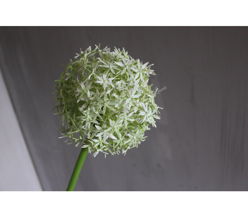 Namaak bloeiende Allium grande white 76cm