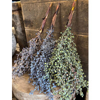 Namaak gedroogde Dadeltak brown