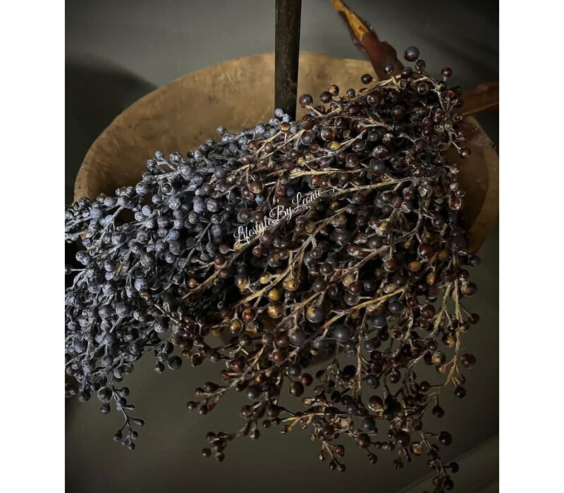 Namaak gedroogde Dadeltak brown