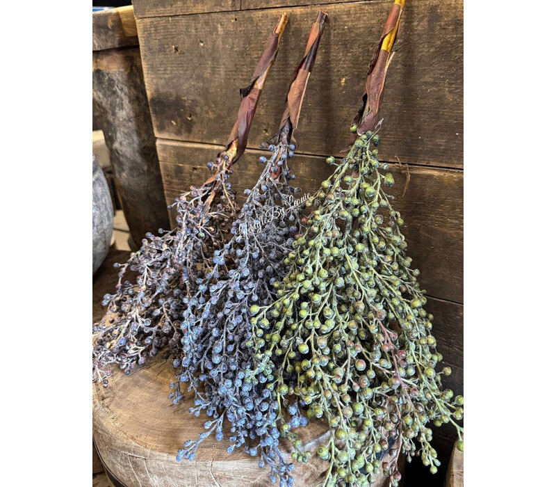 Namaak gedroogde Dadeltak black