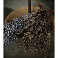 Namaak gedroogde Dadeltak black