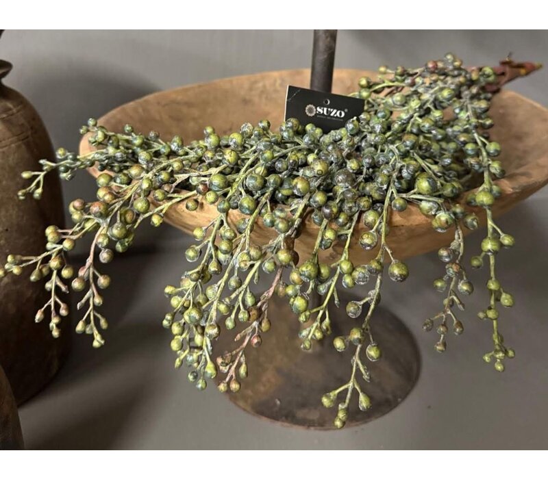 Namaak gedroogde Dadeltak green