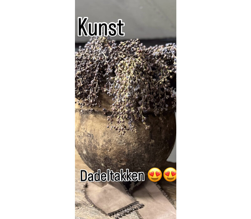 Namaak gedroogde Dadeltak brown