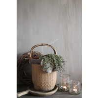 Namaak gedroogde Dadeltak green