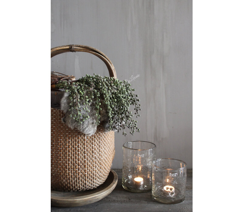 Namaak gedroogde Dadeltak green