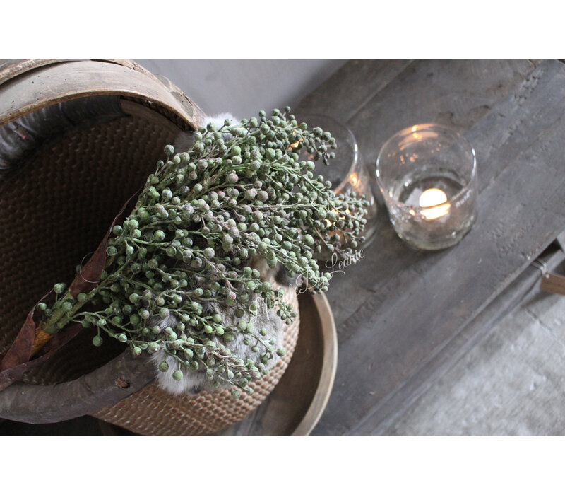 Namaak gedroogde Dadeltak green