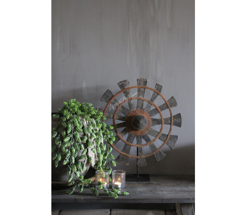 Oude houten wiel / waaier op voet
