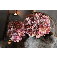 Brynxz Hortensia pink 70 cm