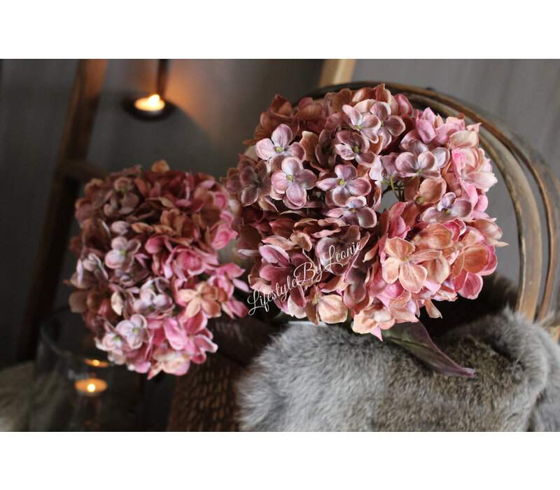 Brynxz Hortensia pink 70 cm