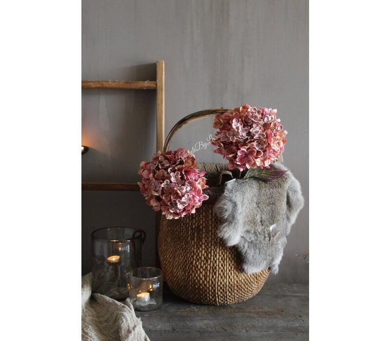 Brynxz Hortensia pink 70 cm